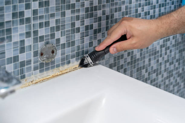 Best Mold Removal Company Near Me  in Montrose, MI
