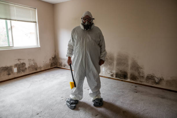 Best Mold Testing  in Montrose, MI